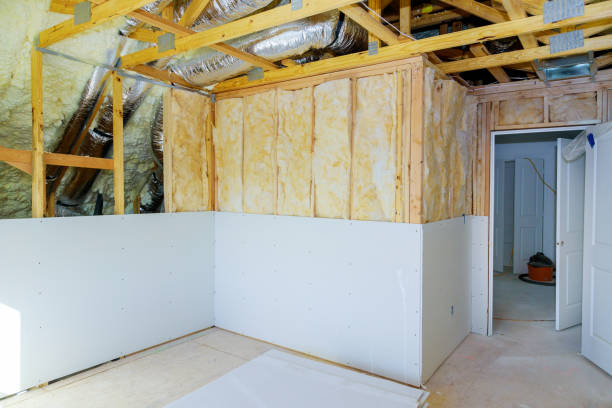 Best Insulation Removal  in Naples, UT