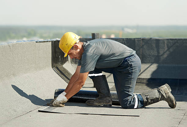 Best Home Insulation Services  in Naples, UT