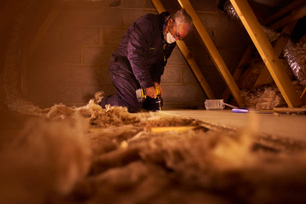 Best Attic Insulation Installation  in Naples, UT