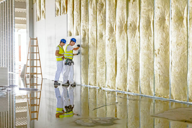 Best Insulation Inspection Services  in Naples, UT